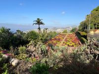 Zu Besuch im Botanischen Garten von Funchal