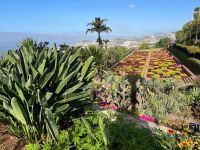 Zu Besuch im Botanischen Garten von Funchal