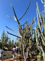 Zu Besuch im Botanischen Garten von Funchal