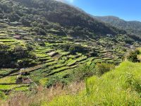 Wanderung Levada von Marocos