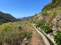 Wanderung Levada von Marcocos