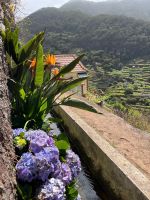 Wanderung Levada von Marcocos