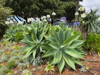 Garten am Aussichtspunkt