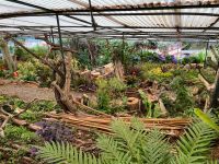 Kräutergarten von Esmeralda