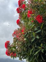 Zu Besuch bei Esmeralda