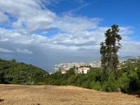Blick auf Funchal