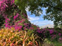 Blick auf Fucnhal vom Orchideengarten