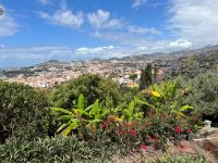 Blick auf Funchal