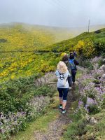 Wanderung entlang der Levada do Paul
