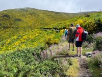 Wanderung entlang der Levada do Paul