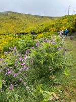Wanderung entlang der Levada do Paul