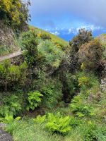 Wanderung entlang der Levada do Paul