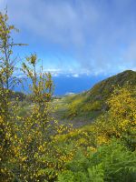 Wanderung entlang der Levada do Paul