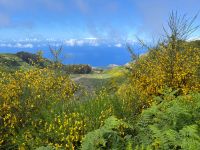 Wanderung entlang der Levada do Paul
