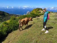 Wanderung entlang der Levada do Paul