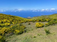 Wanderung entlang der Levada do Paul