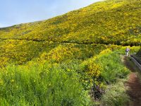Wanderung entlang der Levada do Paul