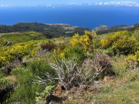 Wanderung entlang der Levada do Paul