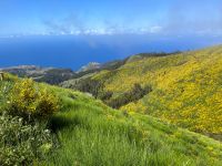 Wanderung entlang der Levada do Paul