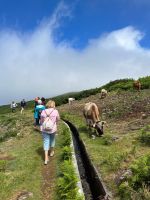 Wanderung entlang der Levada do Paul