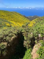 Wanderung entlang der Levada do Paul