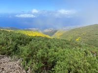 Wanderung entlang der Levada do Paul