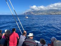 Fahrt mit der Santa Maria de Colombo