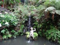 im Tropischen Garten