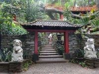 im Tropischen Garten