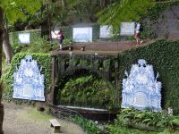 im Tropischen Garten