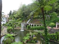 im Tropischen Garten