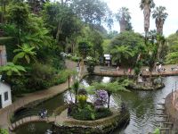 im Tropischen Garten