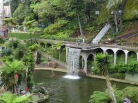 im Tropischen Garten