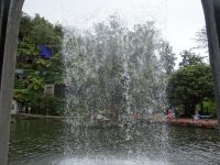 im tropischen Garten