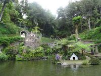 im Tropischen Garten