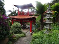 im Tropischen Garten