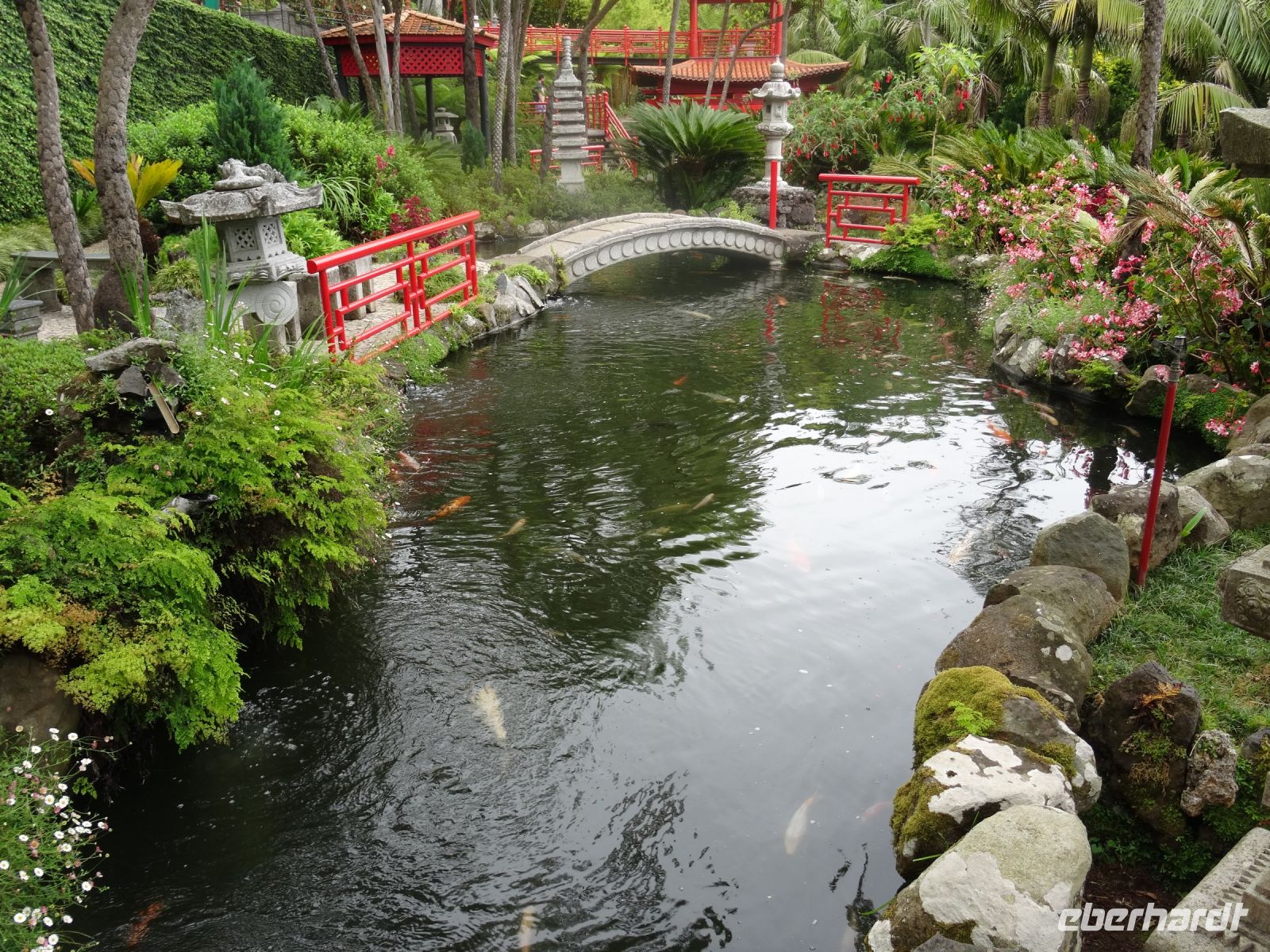 im Tropischen Garten