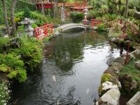 im Tropischen Garten