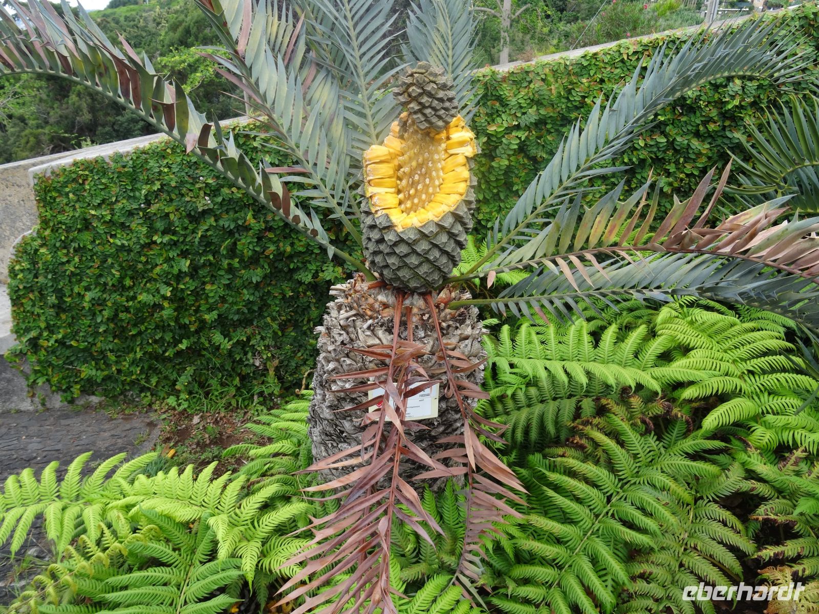 im Tropischen Garten