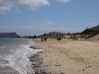 der Goldstrand von Porto Santo