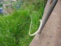 Levada Wanderung - illegale Wasserentnahme