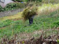 Levada Wanderung - Bauer bei der Arbeit