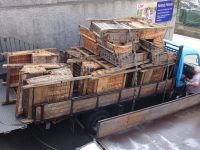 Transport der Korbschlitten