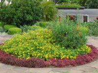 Funchal -  im Santa Caterina Park