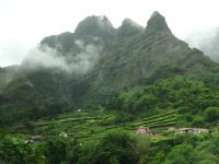 Weinterrassen in Sao Vicente