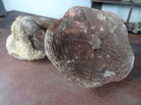 Rota da Cal (Kalkmuseum) in Sao Vicente