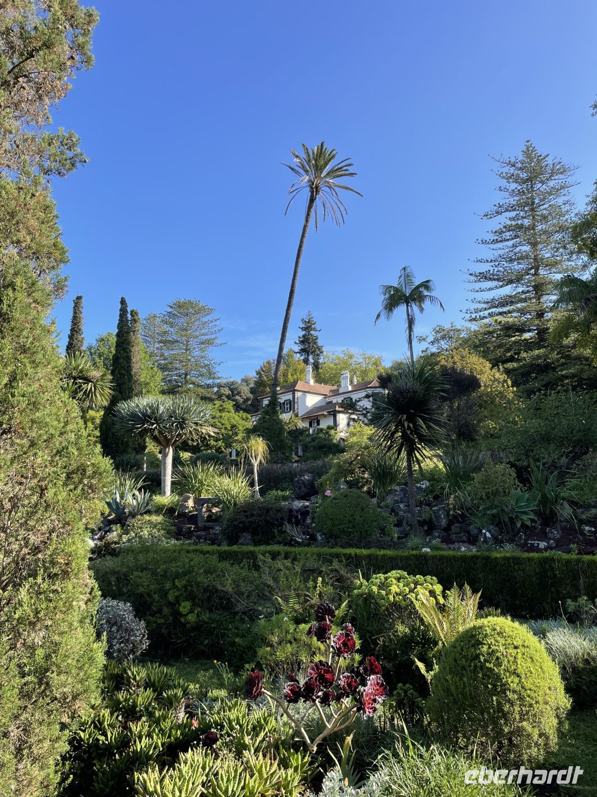 Blick auf das Herrenhaus der Familie Blandy