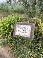 Levada da Serra do Faial 