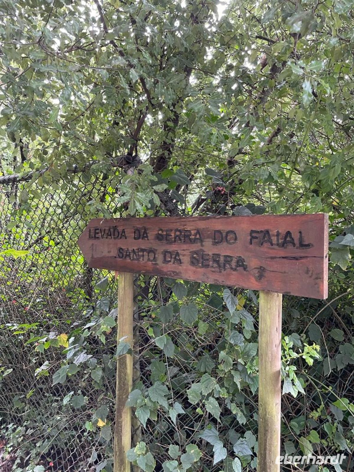 Levada do serra do Faial