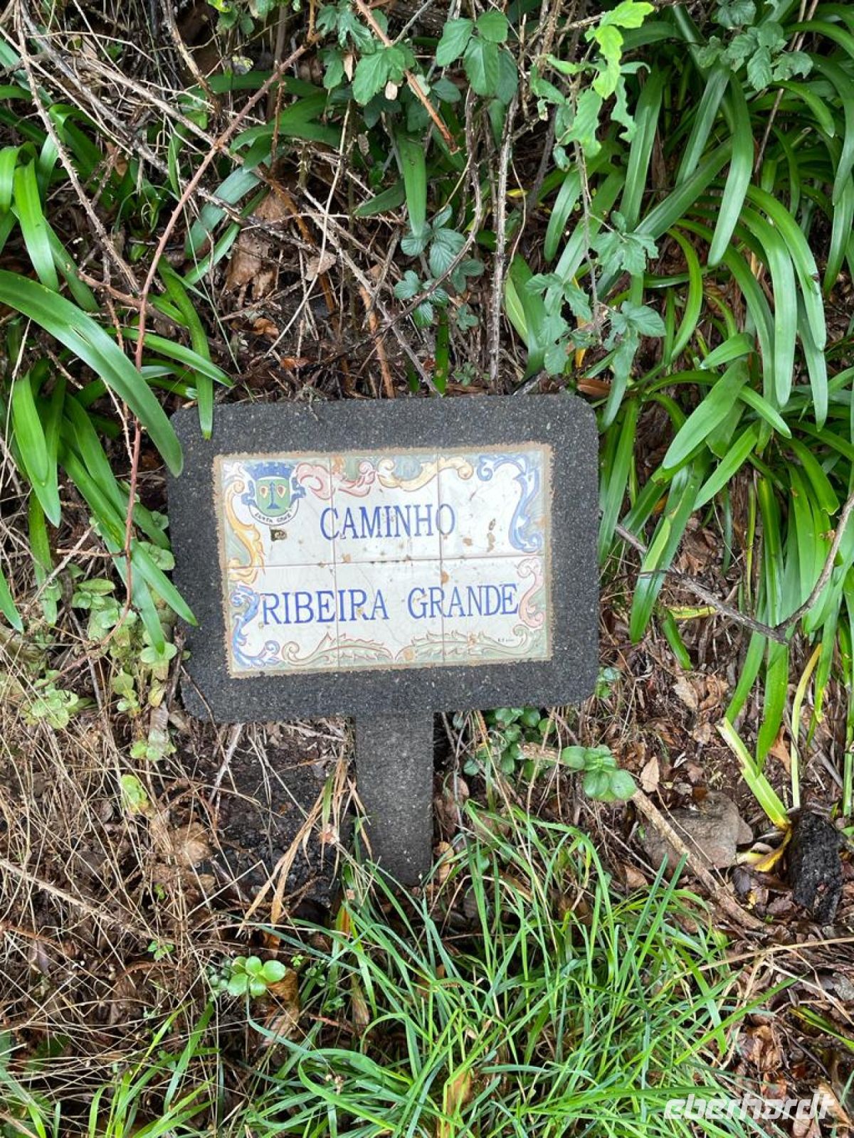 Levada do serra do Faial